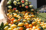 Arance e limoni di Sorrento