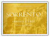 Sorrento. Uomini e fatti del terzo millennio