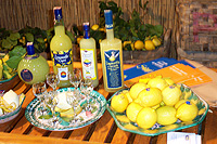 sorrento limoncello :  limoni di sorrento